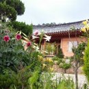 백일홍 민박집 이미지