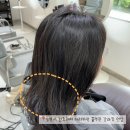 양덕동191 | 마산 양덕동 미용실 펌 염색 맛집 아르티제헤어