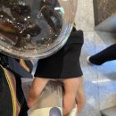 내 맘을 감싸 줄 봄을 기다려