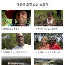 와이티브이영상스토리