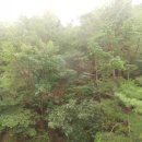 대운산 모텔 이미지