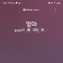 브림 이미지