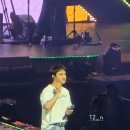 개귀여워 이미지