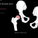 새터 한의원 이미지