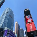 시티뉴욕(City New York) 이미지