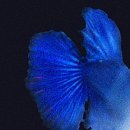 6월 넷째주 주간일기