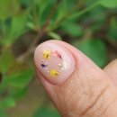 화원 | 유지력 미쳤다! 천안 네일 네일운 4월 아트 재방문 1위 인정후기