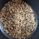 농부의딸 이미지