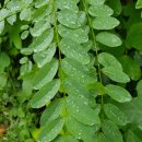 현덕 축구장 이미지