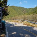 고와라민박 이미지