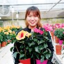 식물부자