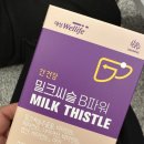 단비포차 이미지