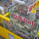 서해축산마트 | 가락시장 쭈꾸미 샤브샤브, 서해안 vs 중국산 시세 맛 비교 (수산대전상품권 사용)