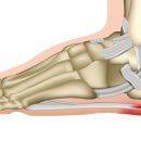 CM Fitness 이미지