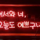 빵구네 이미지