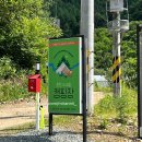 도새울마을 | [강원/홍천 캠핑장] 별이 다섯개 ⭐️⭐️⭐️⭐️⭐️ 홍천도새울캠핑장_내돈내산