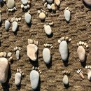 백령도 여행 - 삼색 매력 [하늬해변] [사곶해변] [콩돌해변], 해수욕장 특성, 해설사 투어, 방문 후기
