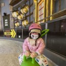 정평천-파크프라자-노브랜드 | 원마운트 스노우파크 추천 (내돈내산) 아기랑 꿀팁