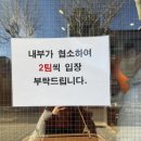 커피309 | #309 [익선동맛집] 문화제빵 후기 : 마늘빵/커피빵/먹물연유빵 리뷰