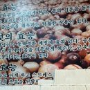 평창도토리매운칼국수