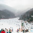설천이용원 네이버블로그