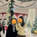 신세계 센텀시티 스파랜드 | 센텀 신세계 스파랜드 센텀시티｜할인·오뚜기 라면랜드 후기