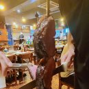 보이브라질 티스토리