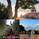허브투 | 제주 서귀포 가볼만한곳 제주허브동산 솔직후기, 낮보다 밤이 예쁜 야경명소