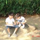 느티나무 할아버지 이미지