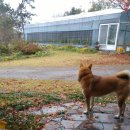 해남하나농장 2농장 이미지