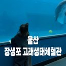 장생포고래집 | 울산 아이랑 가기 좋은 곳｜장생포 고래생태체험관 후기