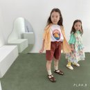 티플랜비