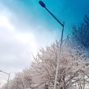 하이파크3로 78번길 이미지