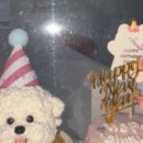 왈왈키친 이미지