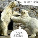 터벅 이미지