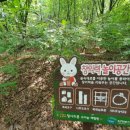 청사초롱 유아숲체험원 이미지