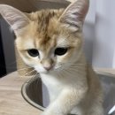 써브웨이 상주중앙점 이미지