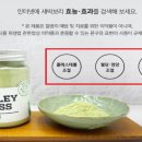새싹마켓
