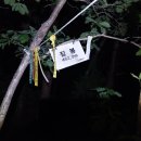 대대리마을회관 이미지