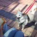 모정농장 이미지