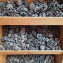 문화카인테리어 | 66. 2025년 야유회 후기