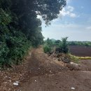 시흥리-8 이미지