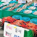 상인은행5단지아파트노인정 | 대구달서구가볼만한곳 월성화요장 주차부터 애견동반까지!