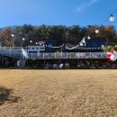 퍼피앤독 이미지