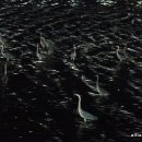 방은목장 이미지