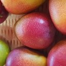 은서농장 이미지