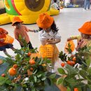 일순농장 이미지