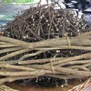 감초한의원 이미지