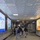 명동여인숙 | 30년지기 찐친들과 서울 나들이 1일차 : 한강 유람선은 어디 가고, 웬 남산 야간 산행(?)