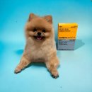 조이메디 이미지